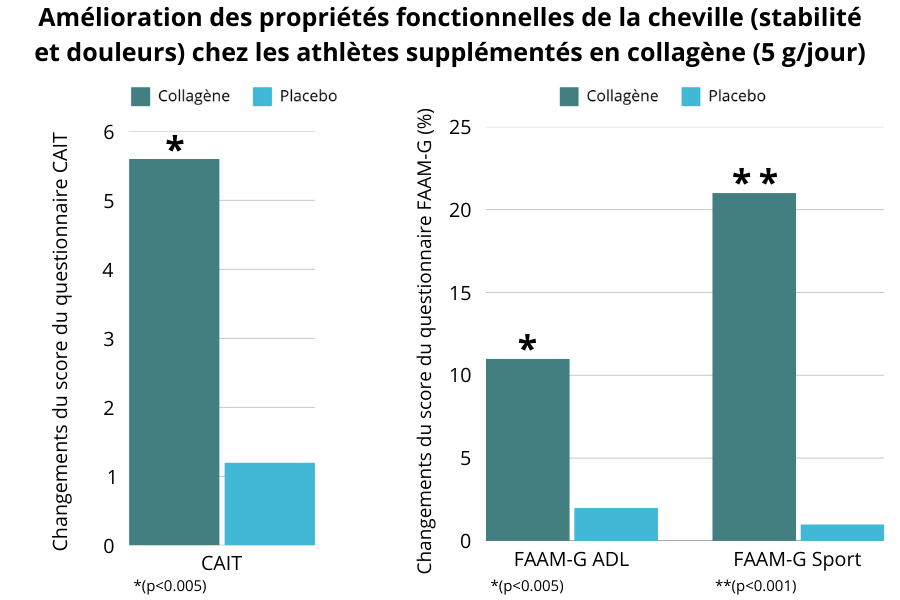 Amelioration des proprietes fonctionnelles de la cheville (stabilite et douleurs) chez les athletes supplementes en collagene (5 g_jour)
